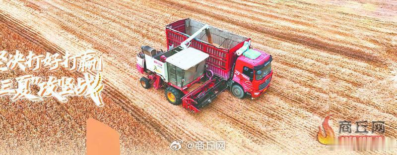 【耕种收全程机械化】6月5日，睢县后台乡后台南村种粮大户刘士龙的300...