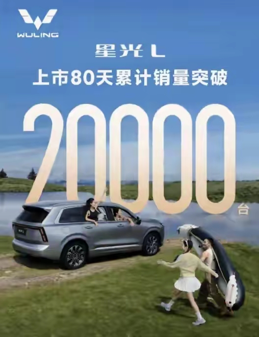 1月-9月汽车品牌全国“零售销量”排名出炉：
​1、比亚迪：	1351986辆	
2	、大众：	944774辆	
3	、丰田：	942092辆	
4、吉利银河：	609526辆	
5、吉利汽车：	560063辆	
6	、零跑汽车：	506966辆	
7	、五菱汽车：	472032辆	
8	、特斯拉
