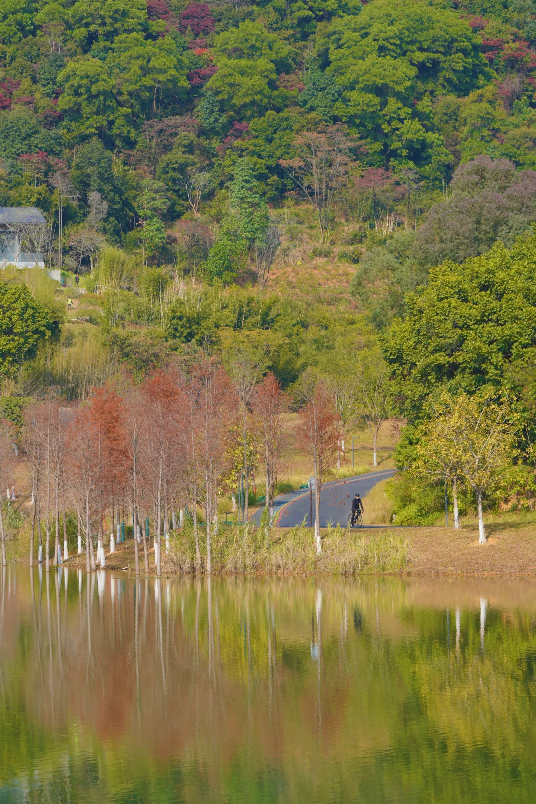 广州超绝骑行绿道📢喊破喉咙都要推给你！