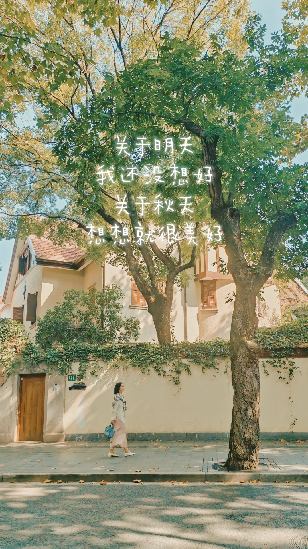 上海citywalk即将迎来封神时刻