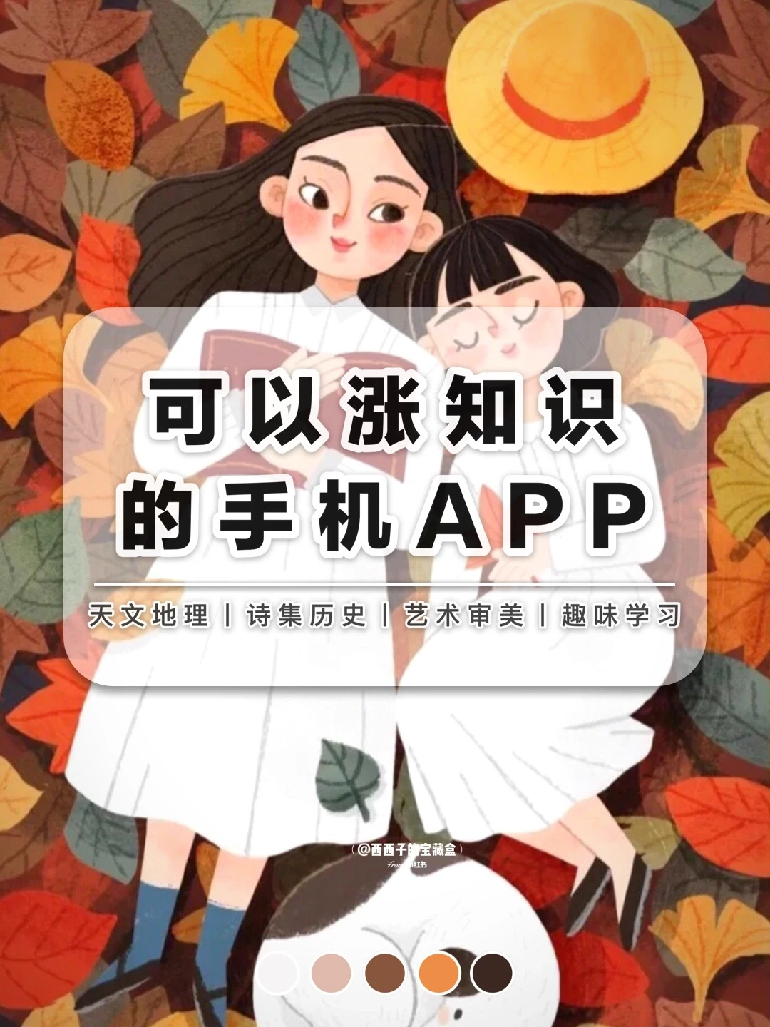 每天用来涨知识的手机应用程序有哪些❓