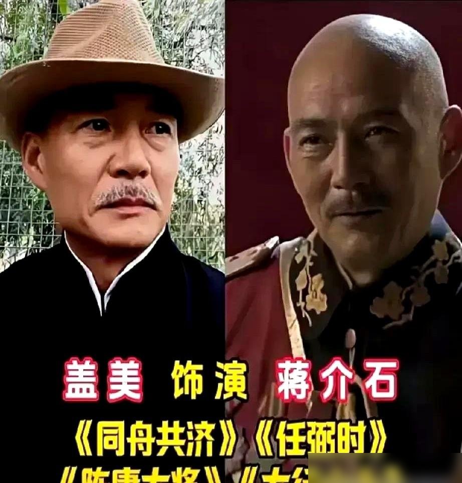 霍建华演蒋介石，弹幕里全在刷“像”。可像，恰恰是历史人物最不值钱的东西。
张国立演蒋介石，往那一坐，不怒自威，眼珠子一转全是算计。陈道明更狠，戏份不多，但每一帧都在告诉你：这是个枭雄，不是个符号。霍建华呢？军装一穿，眉头一皱，帅是帅了，可你总感觉他在演“蒋介石的写真”，不是蒋介石本人。
说白了，