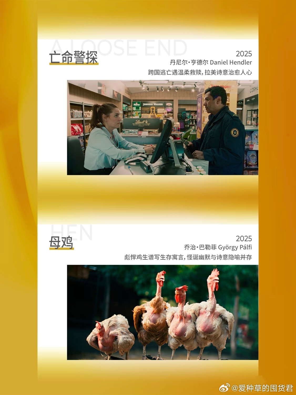 超多优质佳片就近放送🎞️打造线上专属观影专区，多端均可播放，电视大...