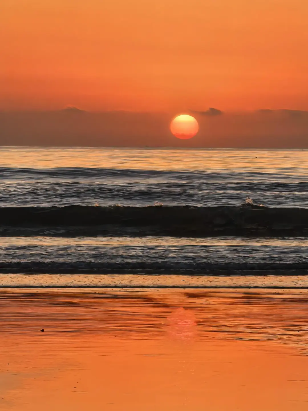 东山岛金銮湾🔆追日成功