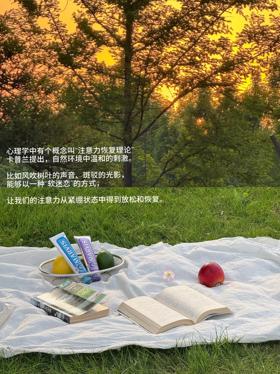 只要我们还在感受自然 世界就依然生动