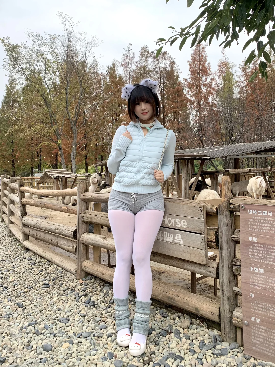 𝐷𝑖𝑛𝑔🐾一日农场主🐑 . 𖥧 𖥧 .