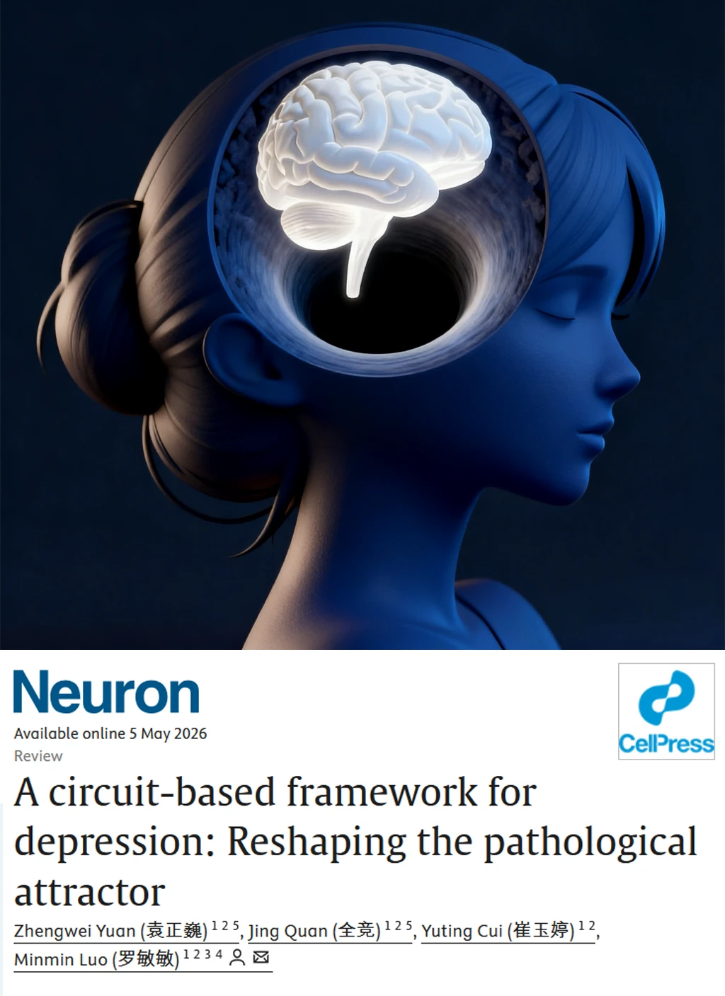 Neuron颠覆认知-抑郁症竟是大脑掉进黑洞