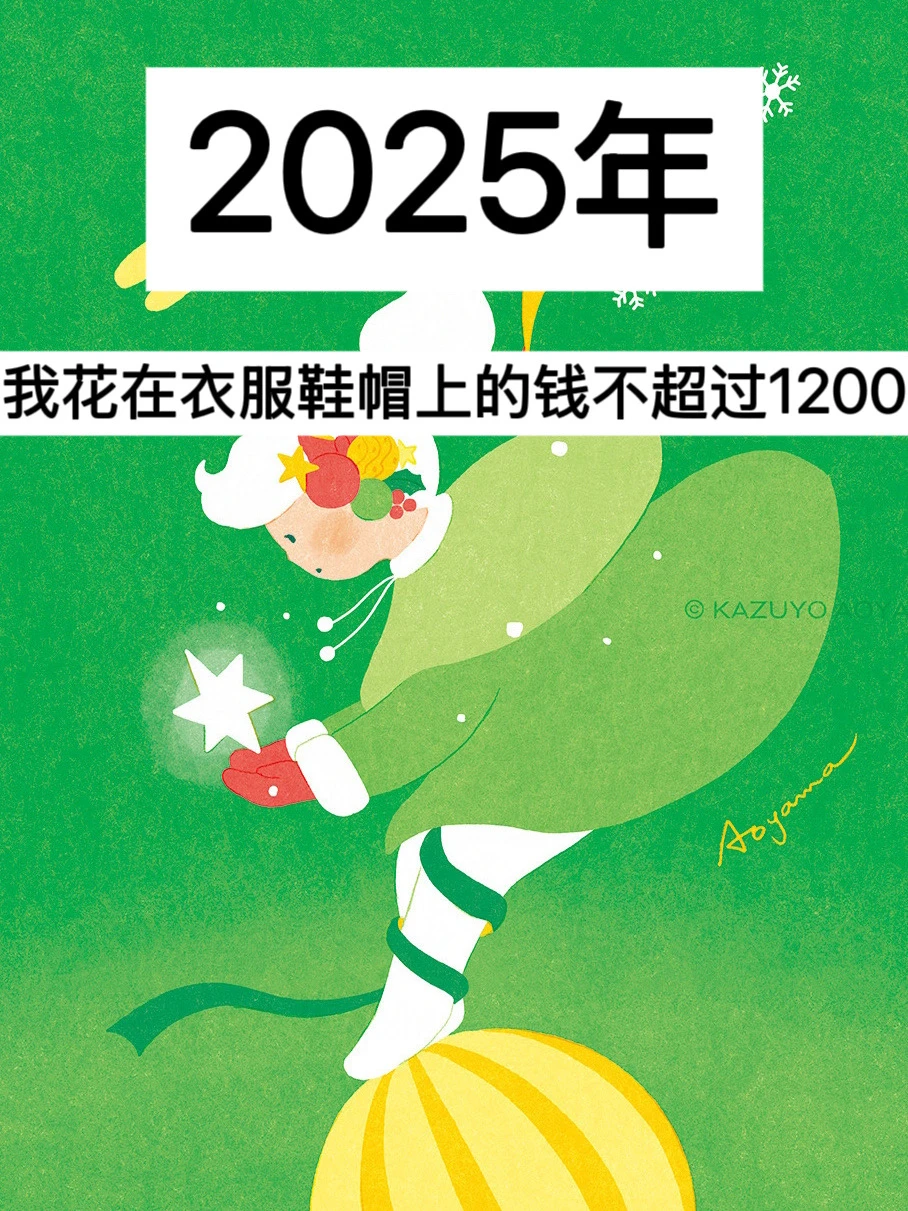 2025年，我花在衣服鞋帽上的钱不超过1200r！