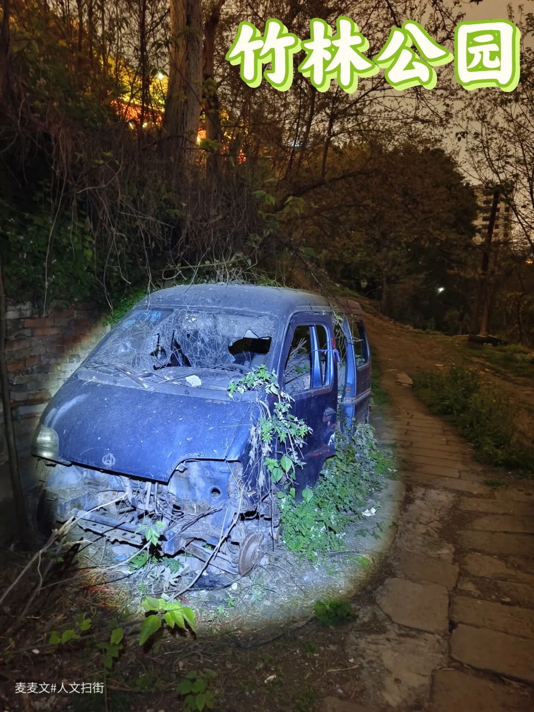 【渝中】梦游荒废的竹林公园，你终于醒了