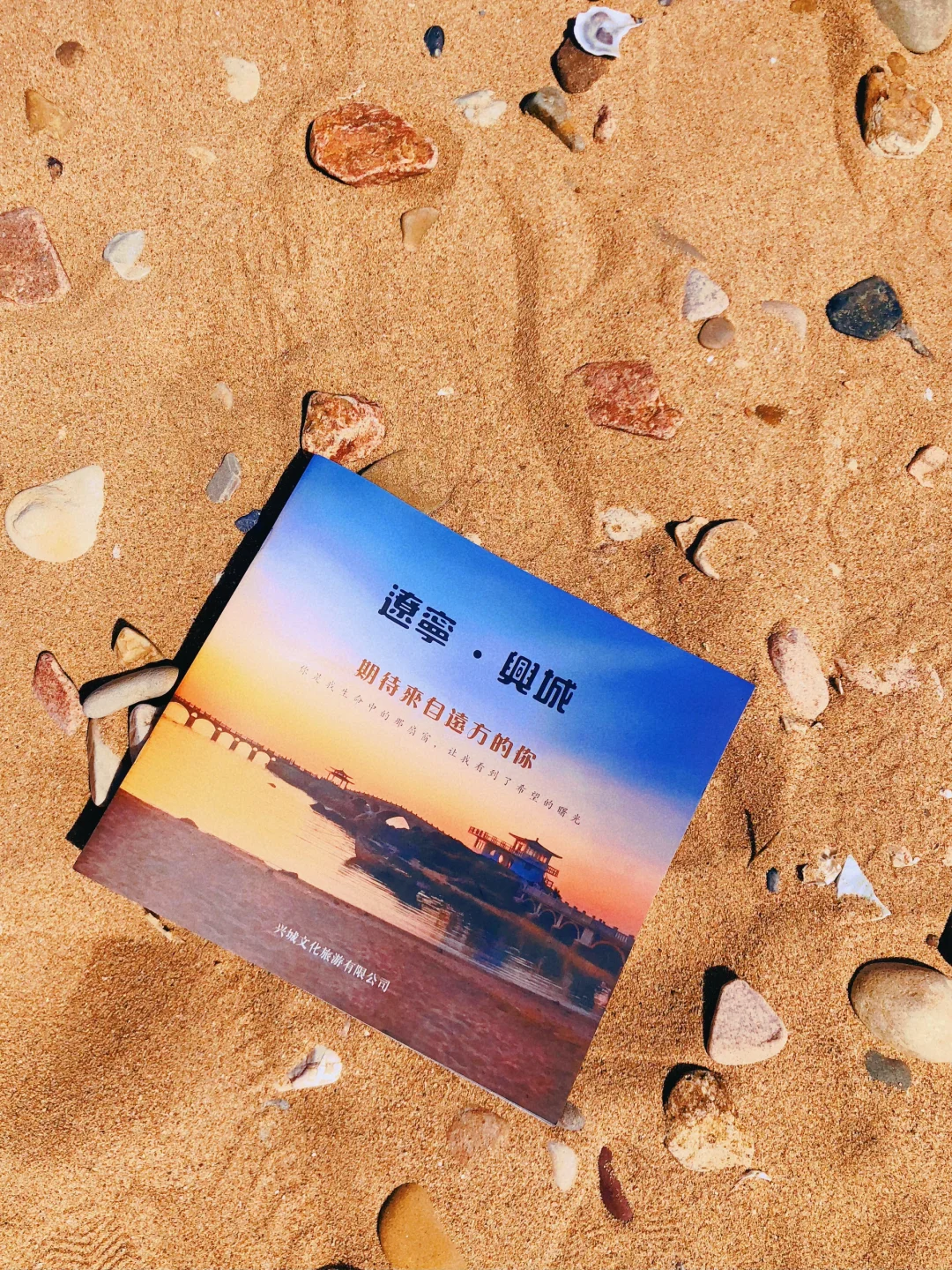 别去威海人挤人了，来兴城赶海挖沙