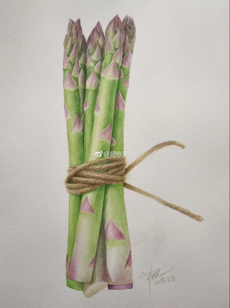 水彩芦笋