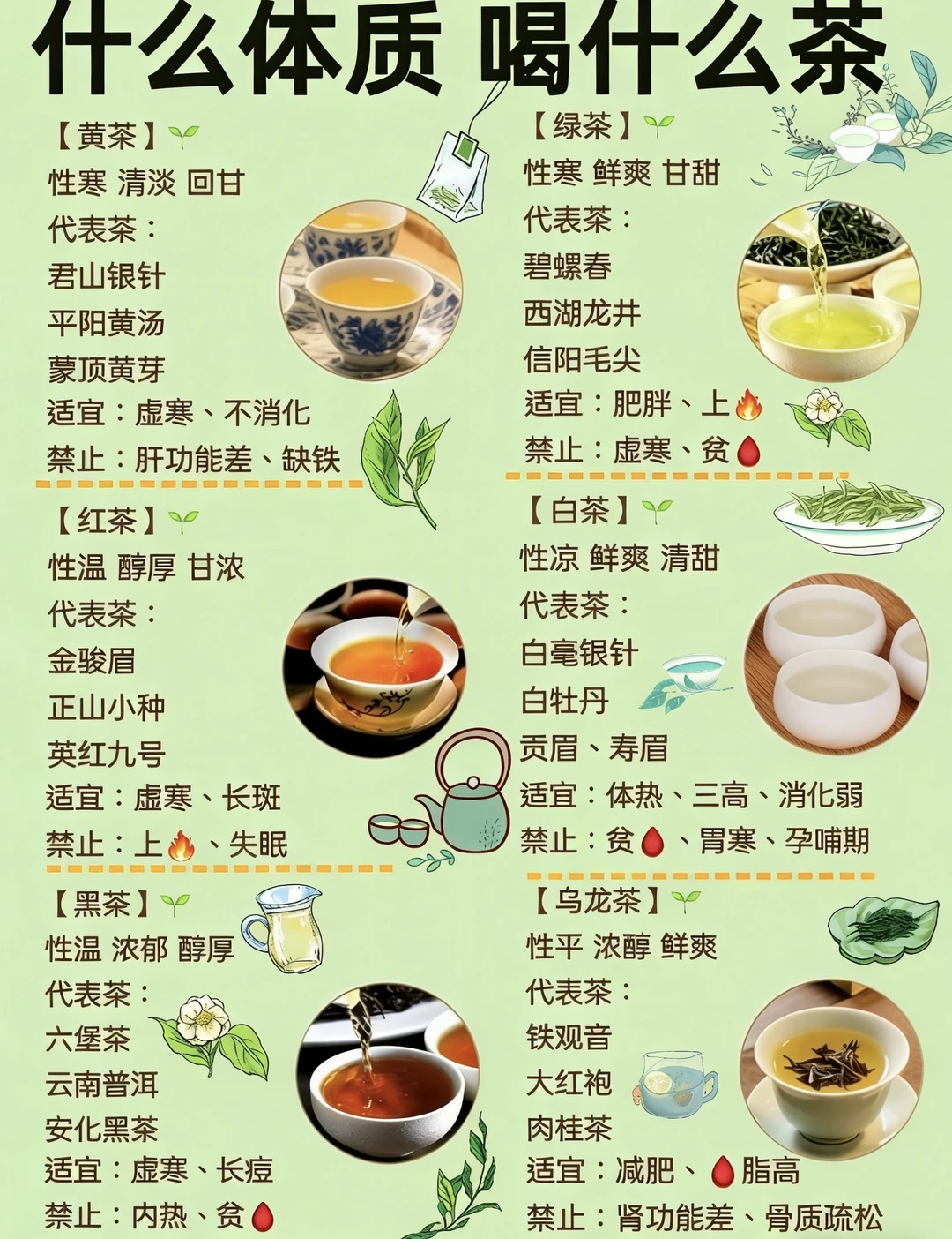 辨体质喝对茶！六大茶类正确喝法全攻略