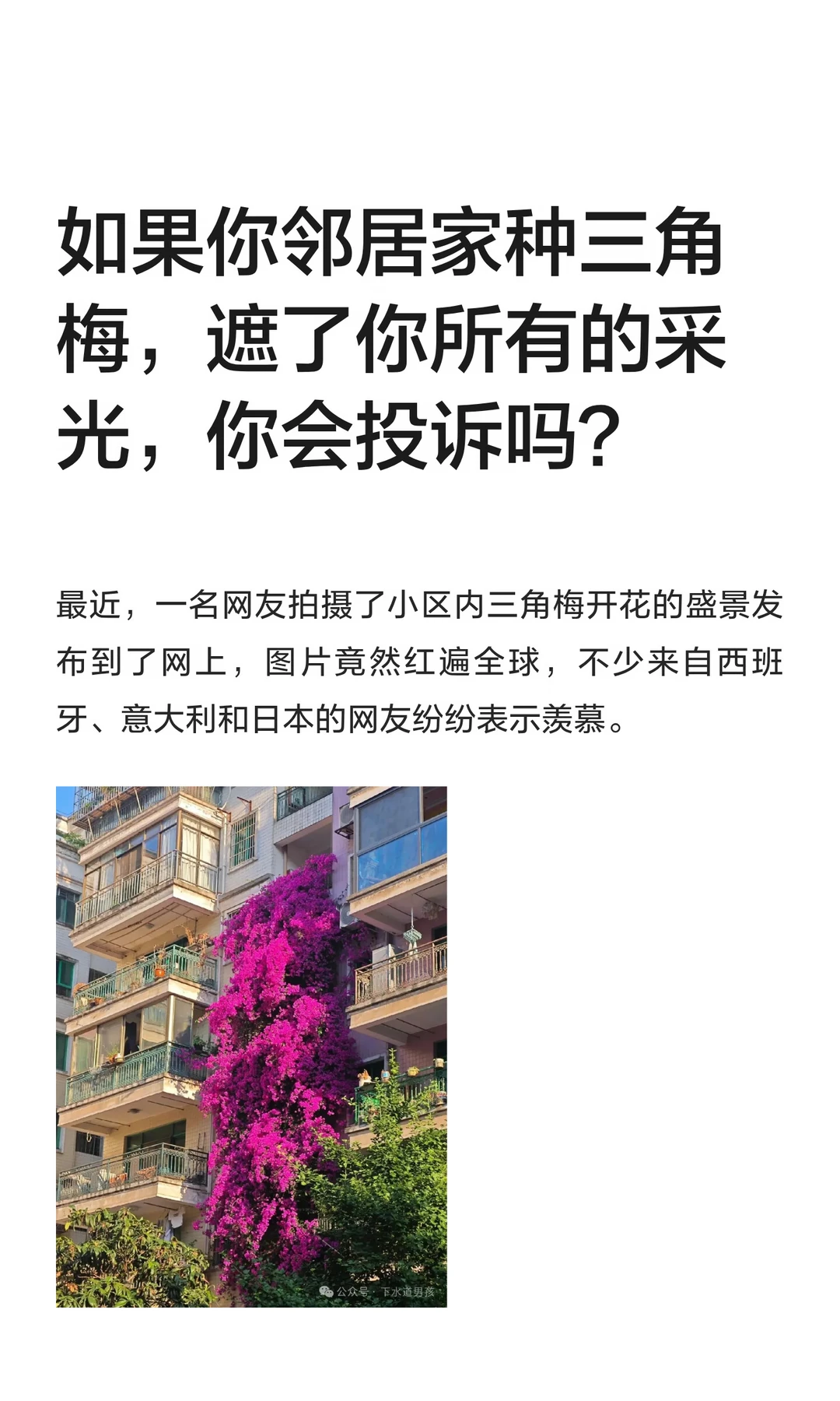 如果你邻居家种三角梅，遮了你所有的采光，你会投诉吗？