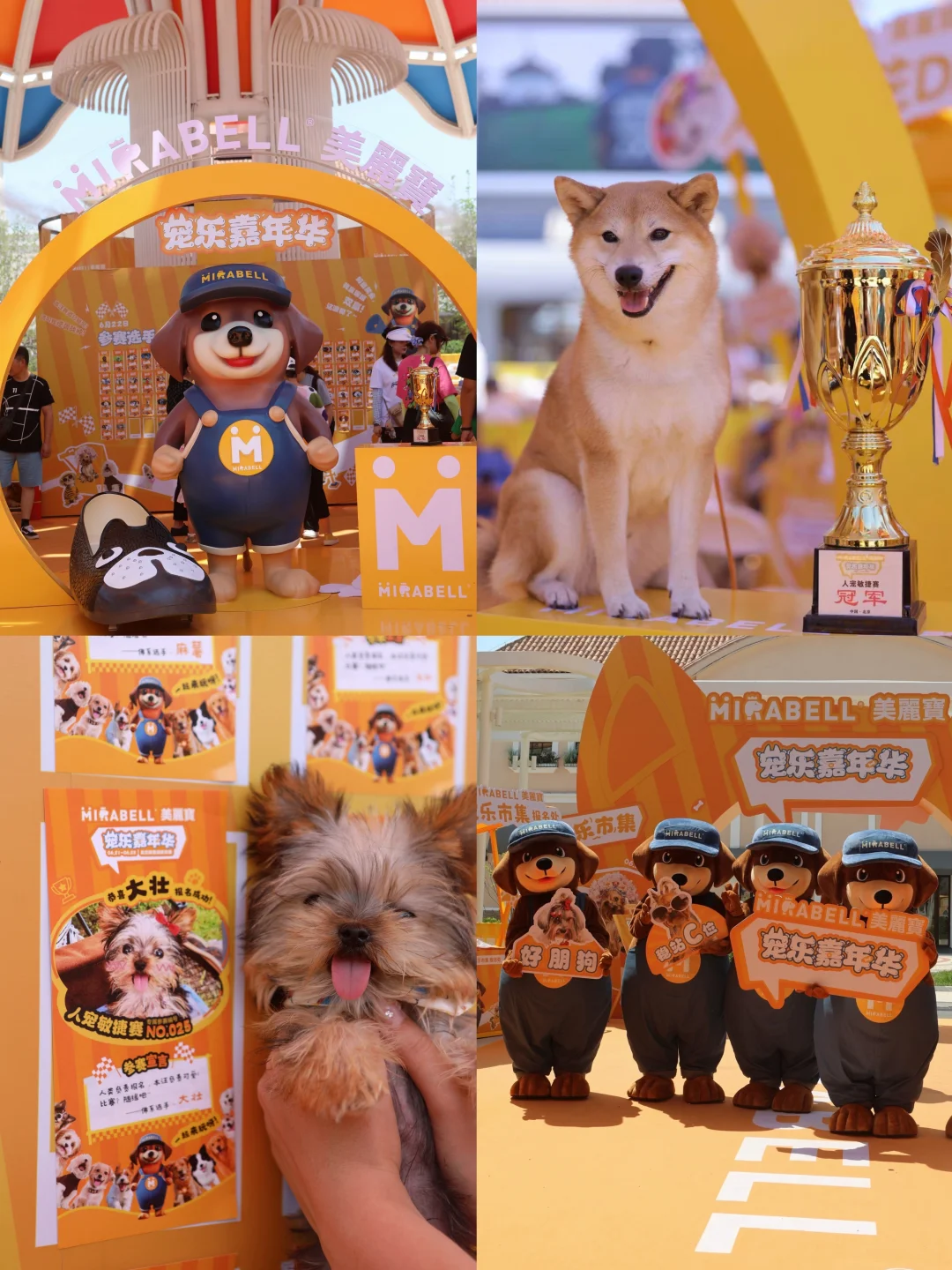 上海「宠乐嘉年华」来啦！🐕⁾⁾毛孩子来聚会吧！