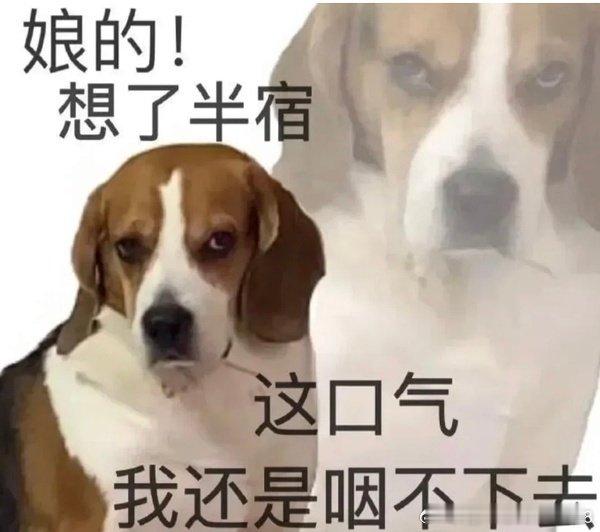 灵活就业金额怎么做到在我不知不觉中又偷偷涨了一点的呢（对比我刚缴纳的时候） ​