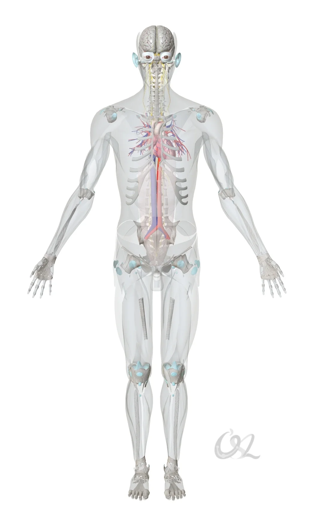 80%的疾病都是身心疾病。很多传统治疗都只是暂时有效果。我们需要更广阔的视角，我