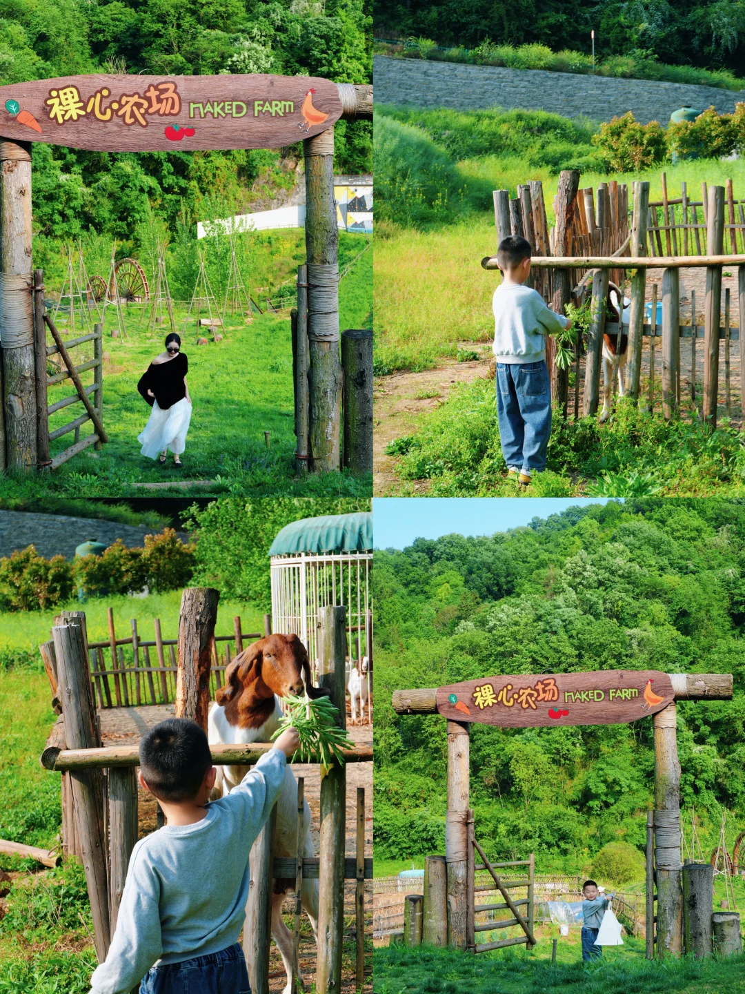 🌿武汉2h直达，躲进随州山谷里彻底放空