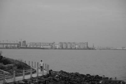 阴天的海鸥岛
