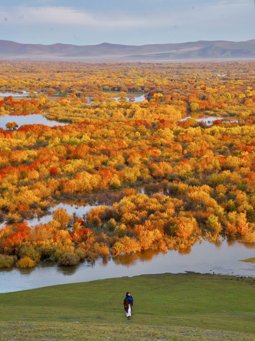 上班暂停⏸️有事先去趟内蒙古！