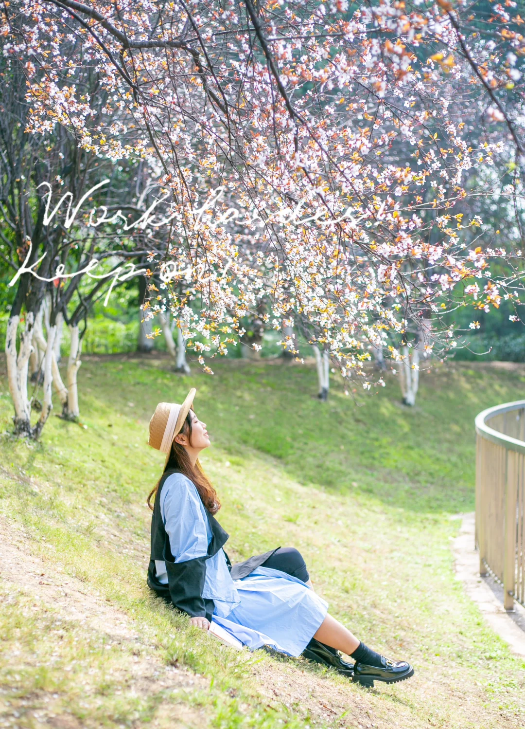 重庆拍照📷紫叶李开了！这里可以拍照和遛娃