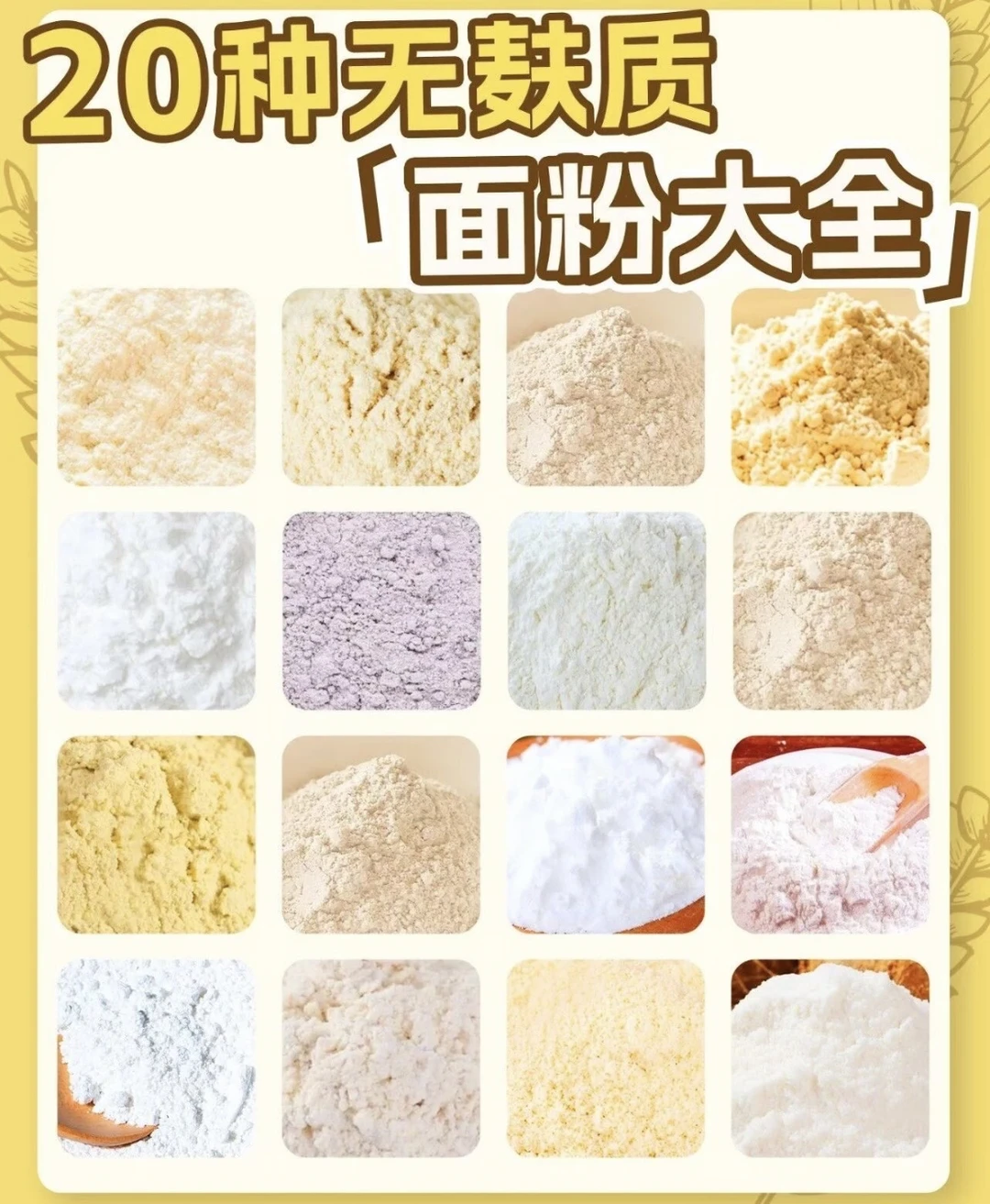 ㊙️20种无麸质面粉大全🔥🔥🔥新手实用教程👍