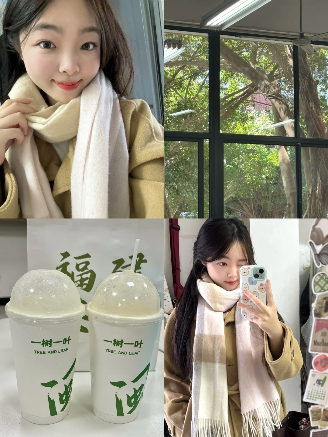 读研Plog🤍 成功需要戒掉努力羞耻！