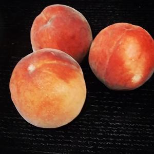 风姿卓越风声yMD