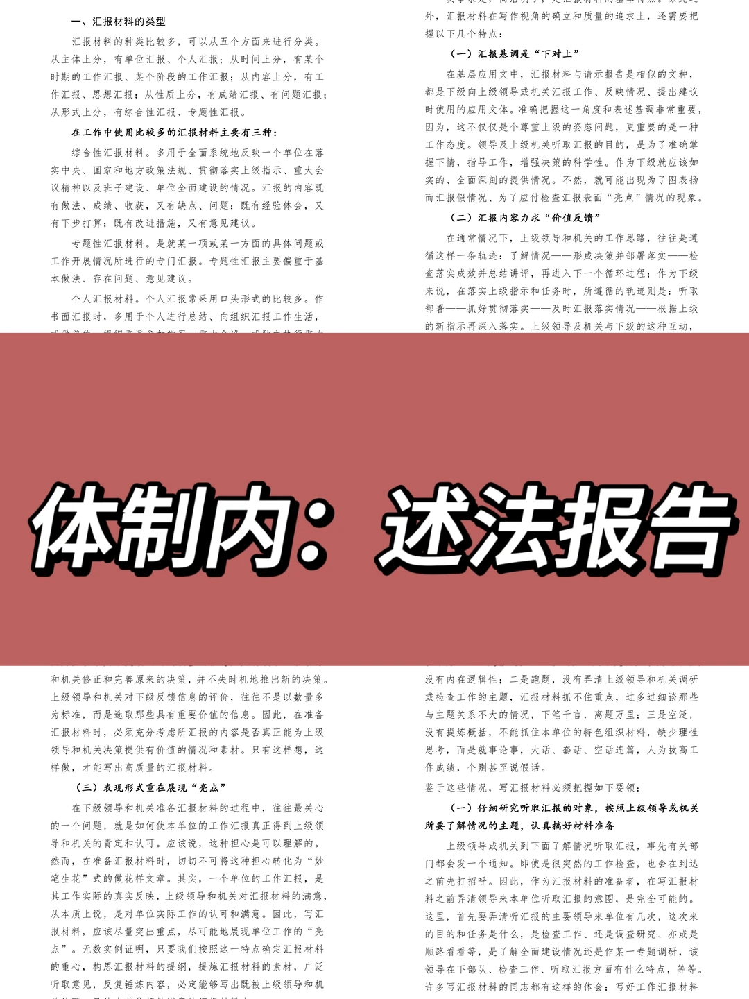 体制内：述法报告