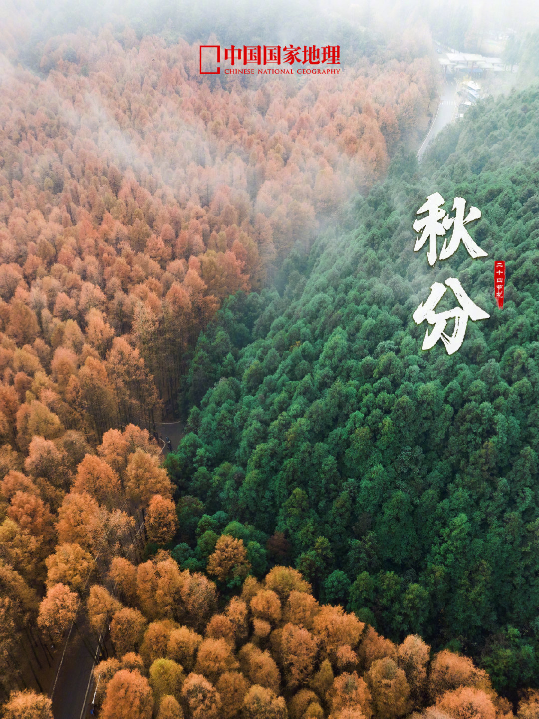 今日#秋分# ，也是第九个中国农民丰收节。愿你在这个丰盈的秋日，耕耘皆有收获，所愿皆能成真！ ​