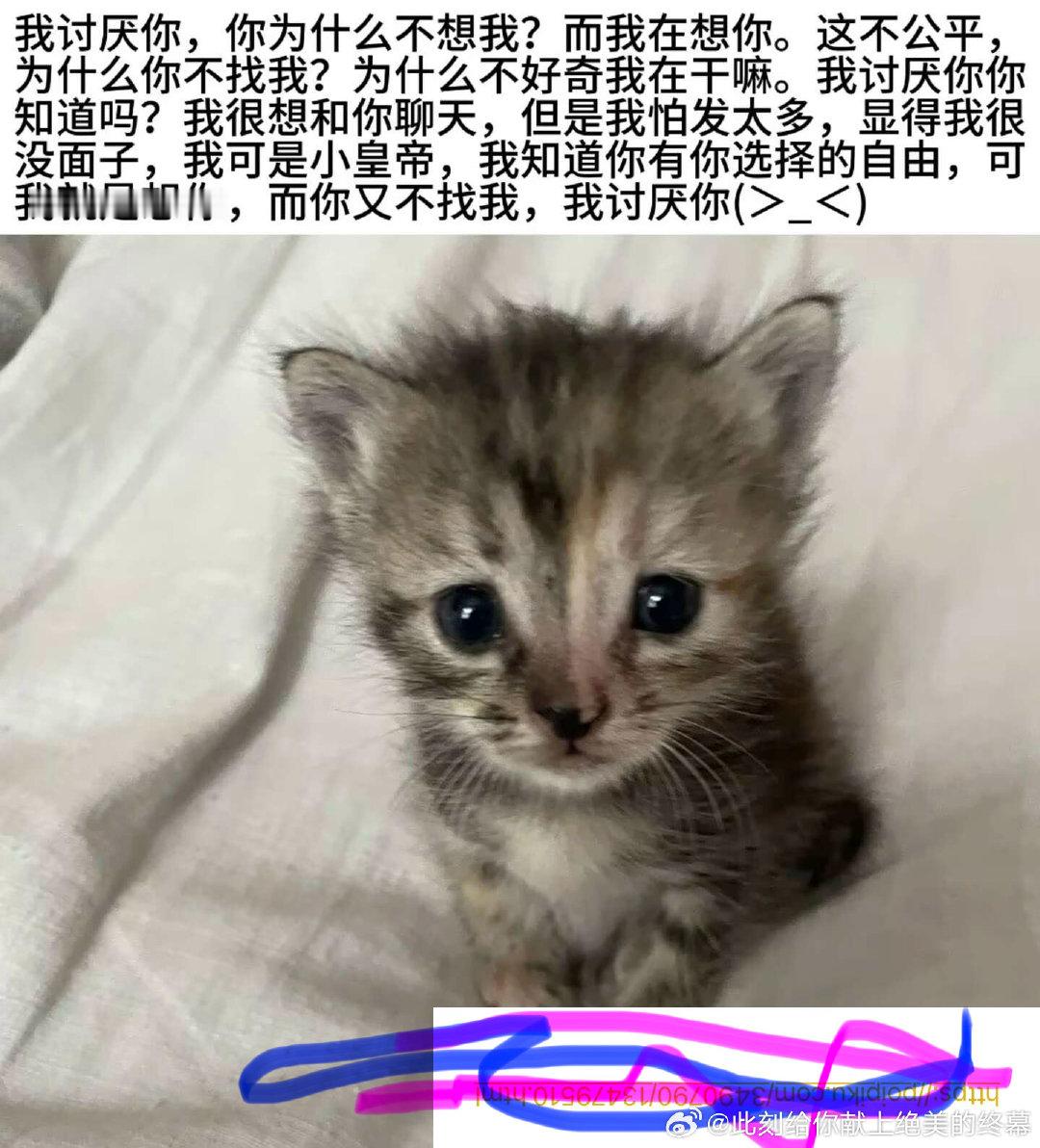 【起稷】反间/r
角色扮演之貌美间谍策反失败被抓住然后被狠狠那个了 ​