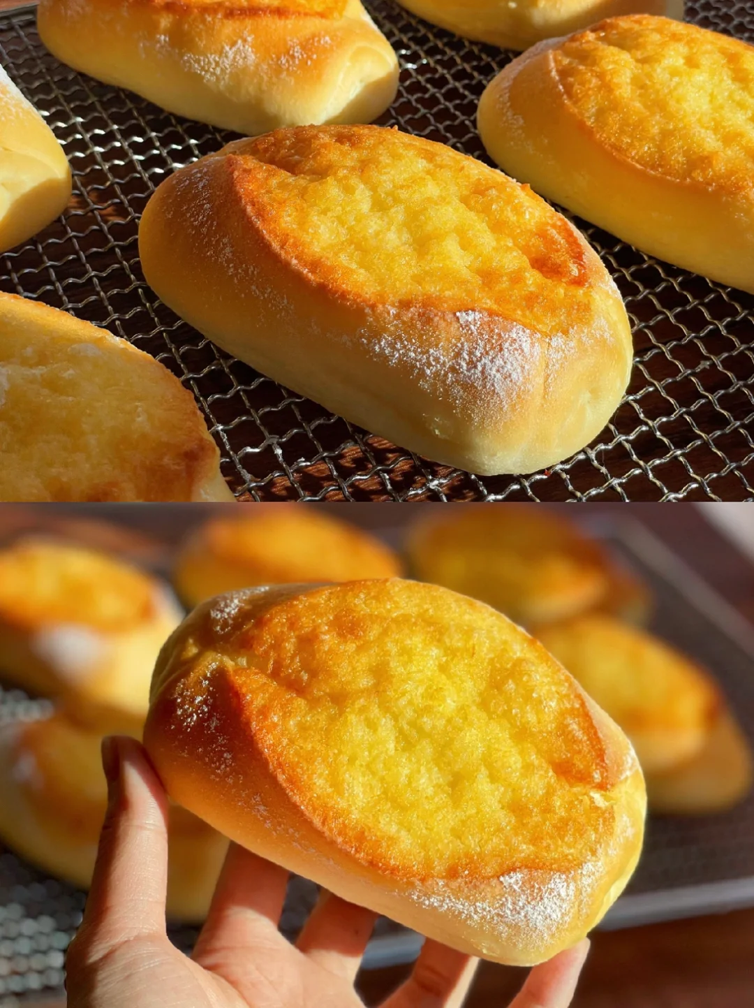 🥥鲜奶椰皇包｜私房爆款必码｜巨巨巨好吃‼️