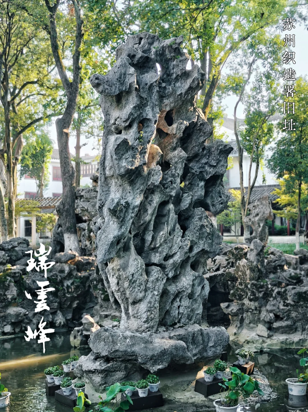 超难约的苏州十中，暑假天天开放，快冲！