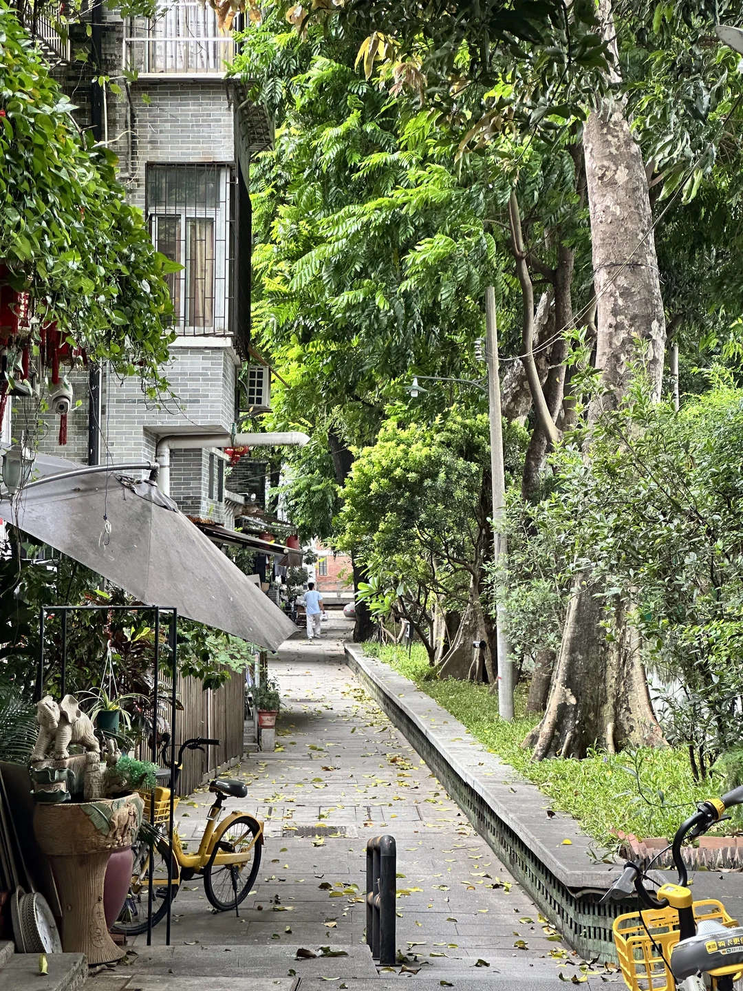 广州荔湾｜荔湾湖公园
