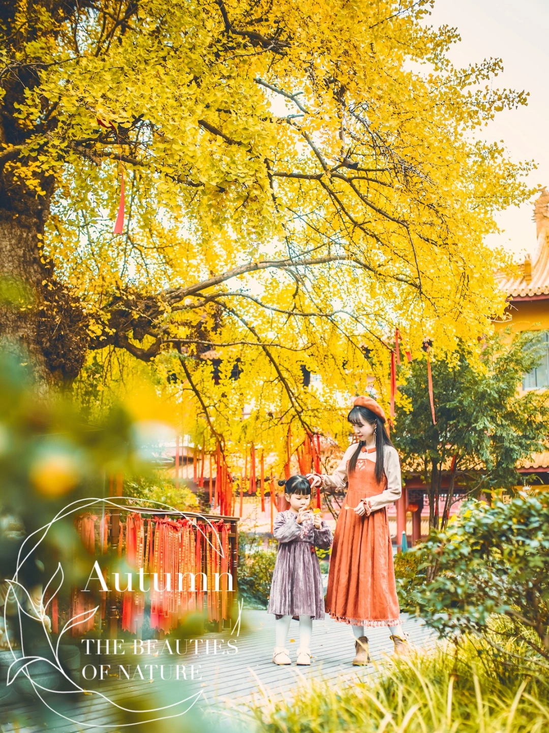 周末也没人！百年古银杏组成的上海秋日秘境