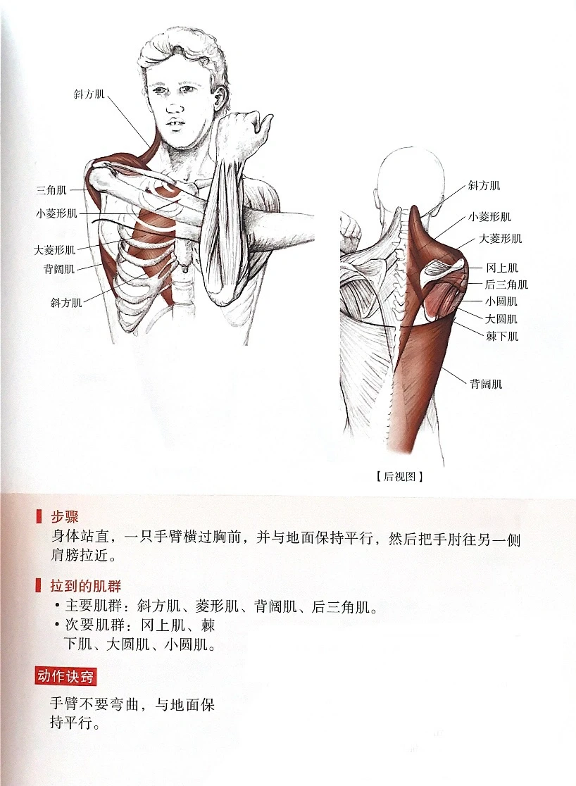 斜方肌背阔肌拉伸帮你拥有完美曲线！💪😍