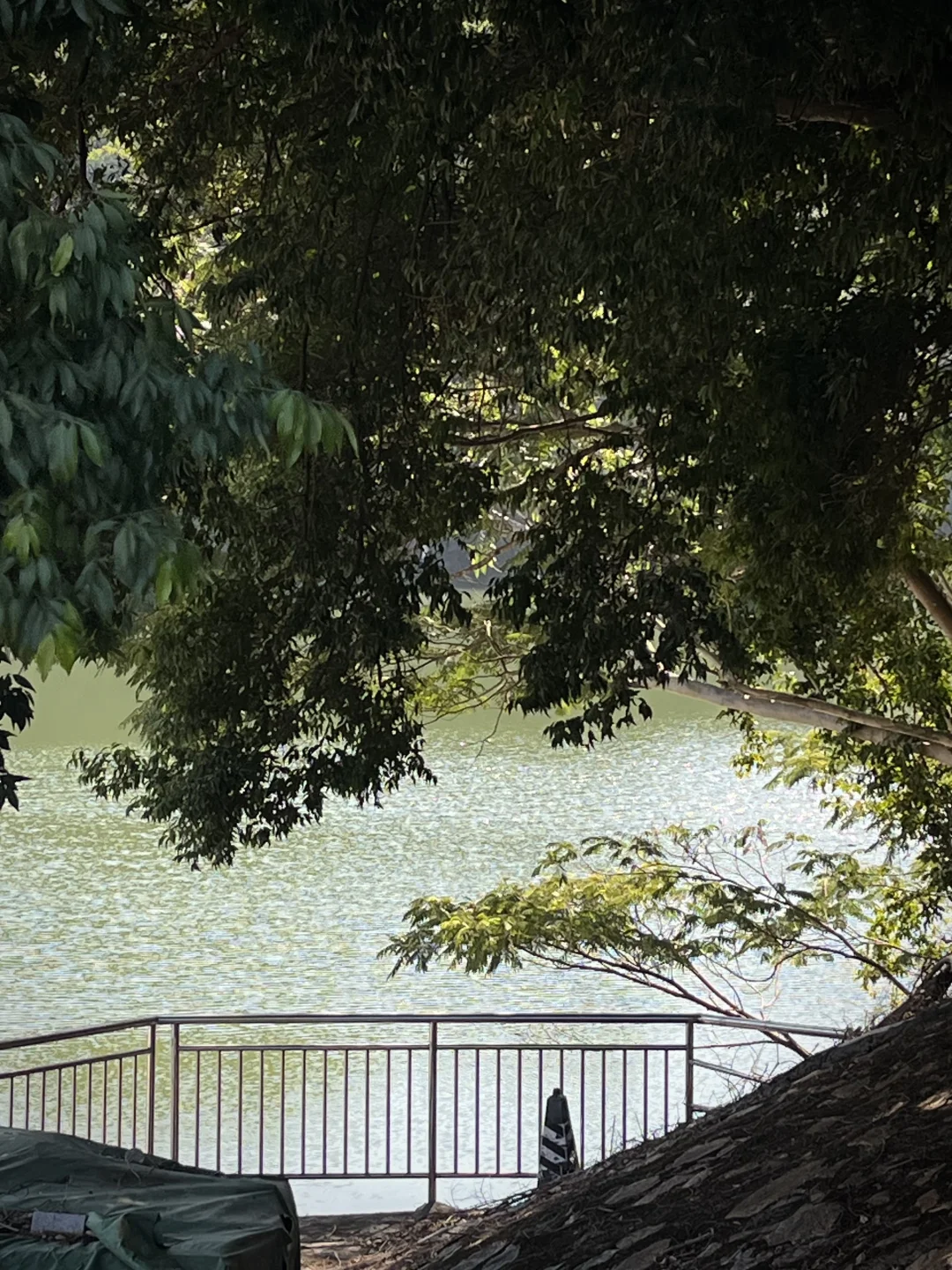 随笔｜大自然的治愈🌿