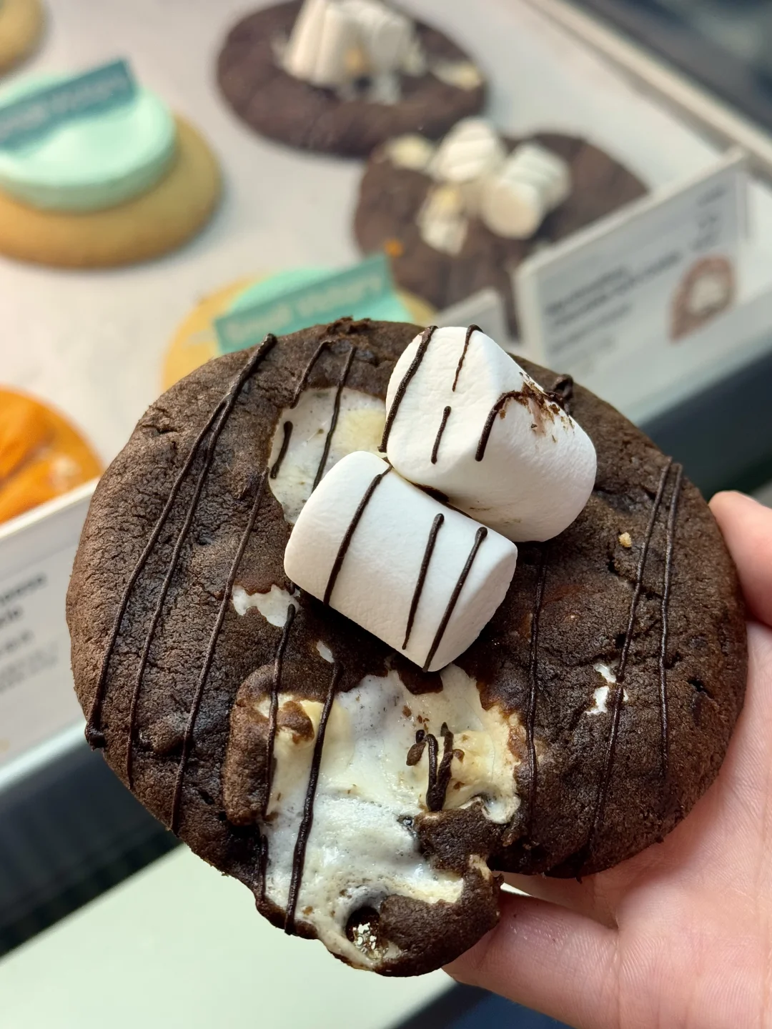 南京新的！震撼美味的软曲奇🍪