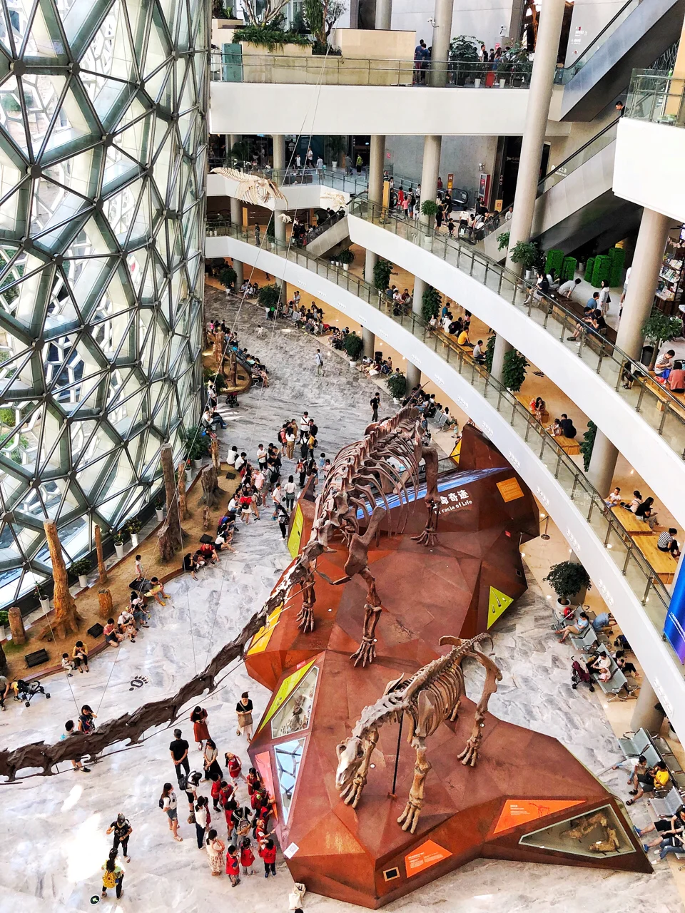上海遛娃圣地推荐🏛一天逛不够的上海自然博物馆