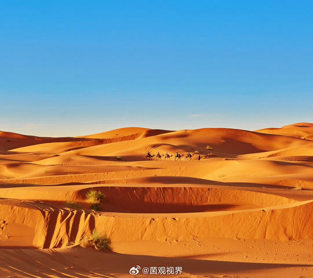 浙江智造的机器狗奔赴内蒙古治沙一线，在极端天气下开启“全能模式”：
搬运物资、热成像夜巡、识别驱离动物样样精通，把人工从繁重的野外作业里解放出来。

这哪里是机器狗，明明是荒漠里的“绿色卫士”！
从工业制造到生态保护，中国智造的硬核实力，正在把“守护绿水青山”的责任，变成看得见的实效 ​