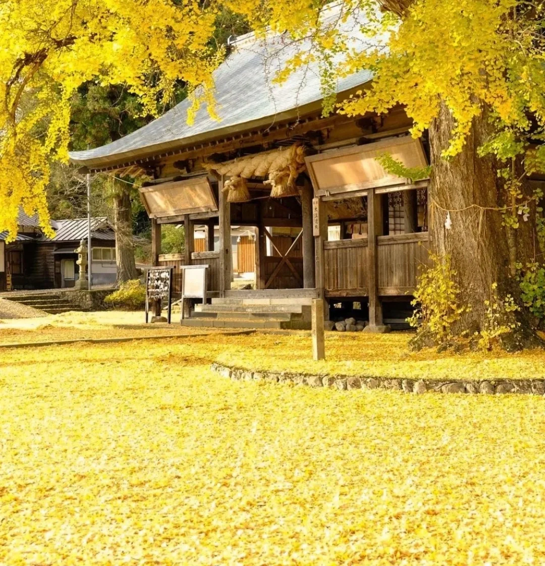 日本冈山县｜春夏有花开，秋天赏落叶🍂
