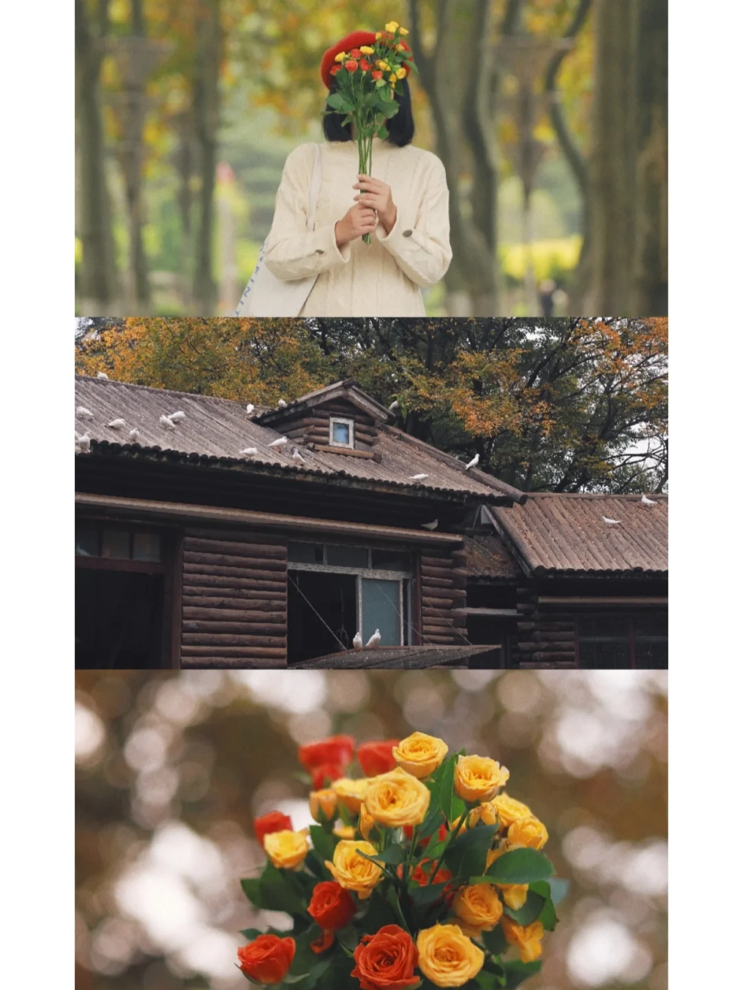 摄影的初衷是愉悦自己，拒绝流量Pua！