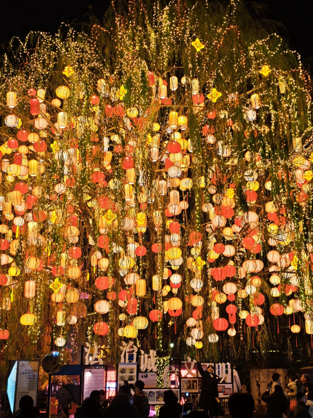 💥南京赏花灯｜最好看的都是免费的～