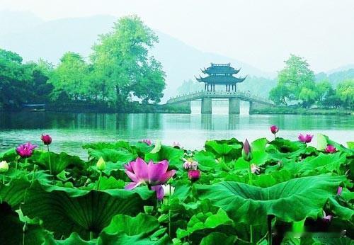国庆第二天西湖断桥上全是人，密密麻麻的游客挤满桥面，一眼望过去几乎看不到空余落脚的地方。
 
每年长假，西湖断桥都会迎来客流高峰，今年国庆第二天，这里的人流量再一次超出很多人的预想。不少游客早早出门，专门来打卡这座有名的古桥，大家都想站在桥上看看西湖湖水，拍下属于自己的假期照片。只是人实在太多，往前