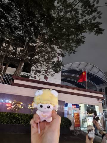 我又想到我2号晚上才带着笑呵呵的好朋兔去打卡亚轩的初中，结果四号就丢在...