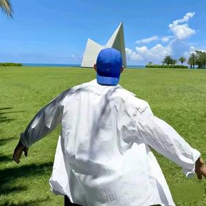 彩云间穿梭的青鸟