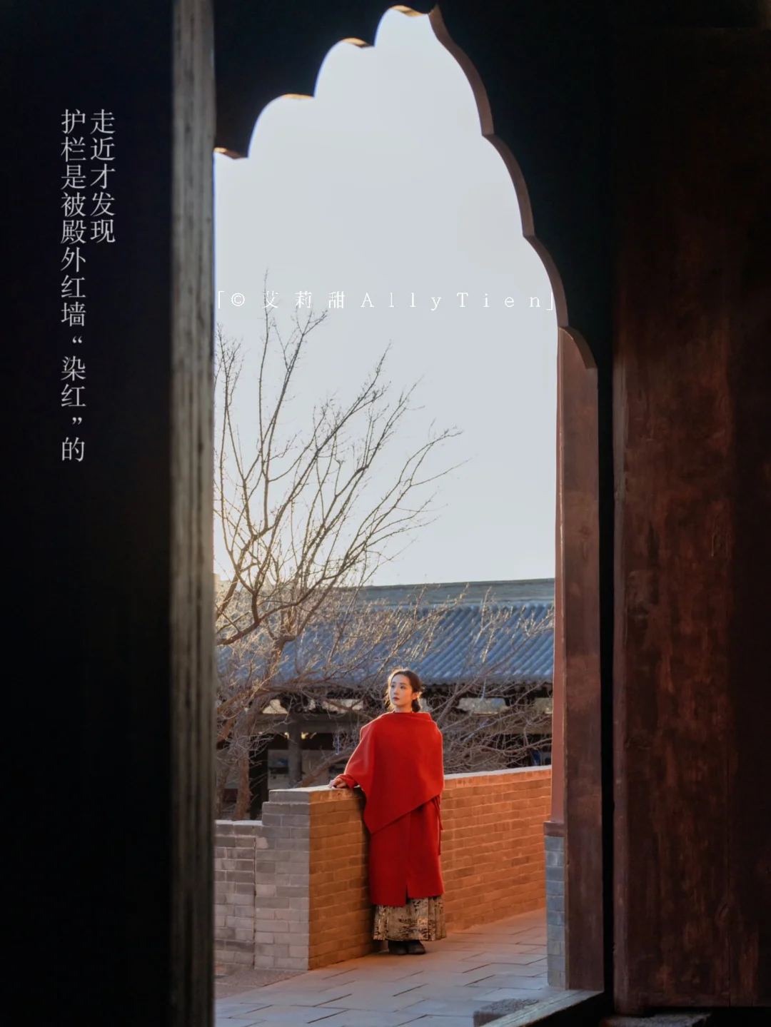 别错过善化寺的“金色时刻”