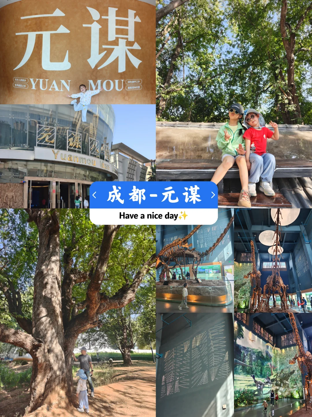 连更2️｜成都→元谋躺平攻略酸角村+博物馆