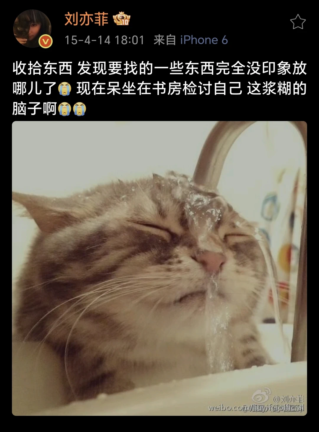 给大家分享茜茜有趣的微博吧[红色心形R]#刘亦菲