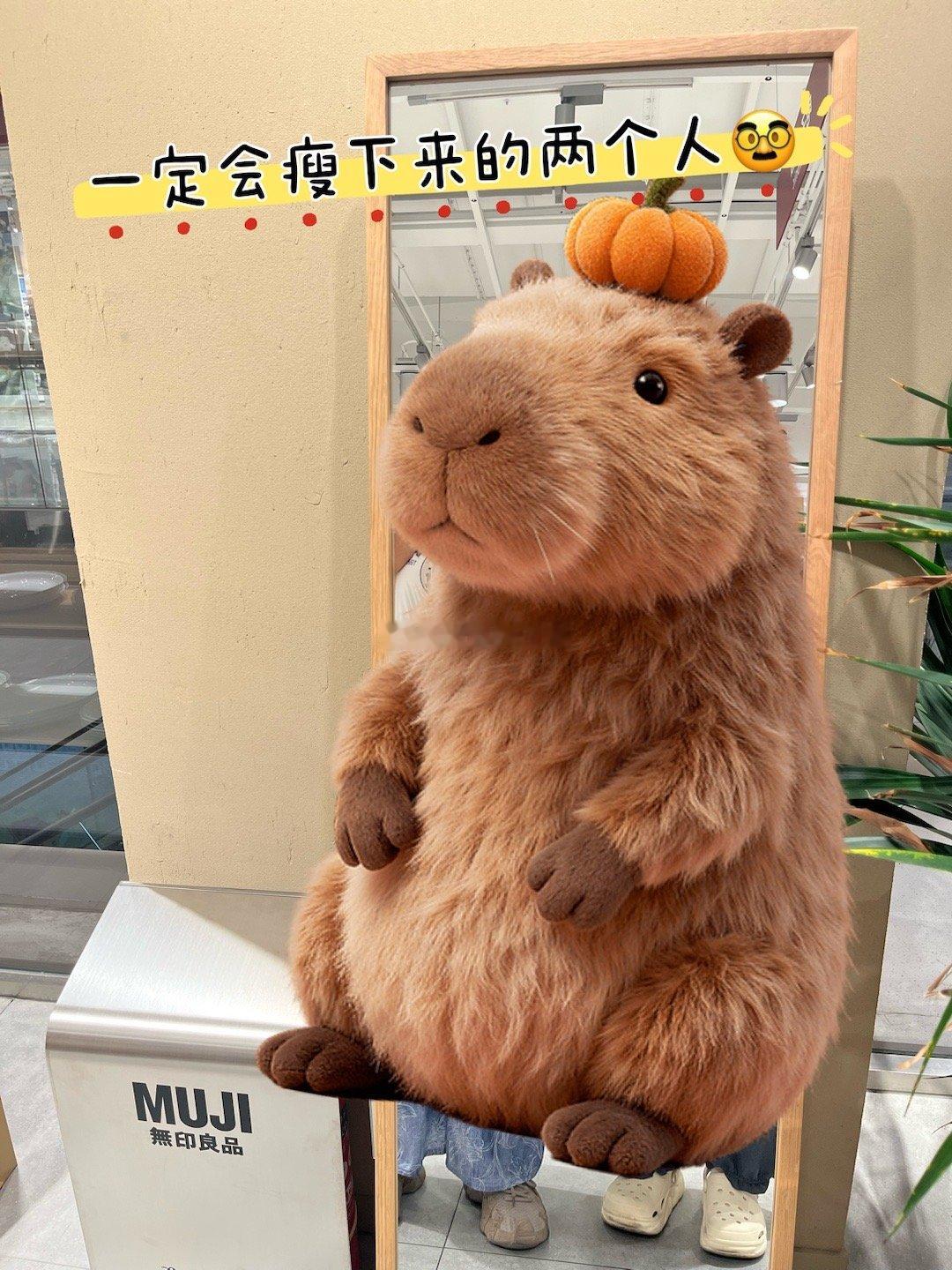 突然有一个下午的休息日[哇]马上跟姐妹约起来[给你小心心]吃焖面 逛万象汇 入手了大疆nano 
喝了麒麟大口茶 榴莲冰 买了一堆鲍师傅
回家[么么哒]希望今晚睡个好觉[心]
#多肉碎碎念# ​