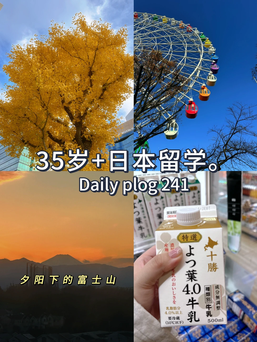 35岁+日本留学🎡走出舒适区会有别样风景